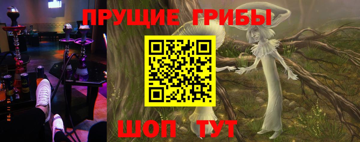 Галлюциногенные грибы GOLDEN TEACHER  Галлюциногенные грибы мицелий  Луховицы  как найти   Вход с VPN 