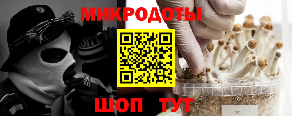 Галлюциногенные грибы Psilocybine cubensis Луховицы